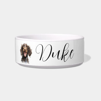 American Water Spaniel waterfowl Bowl