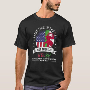American Welsh Home in US Patriot American Wales F T-Shirt