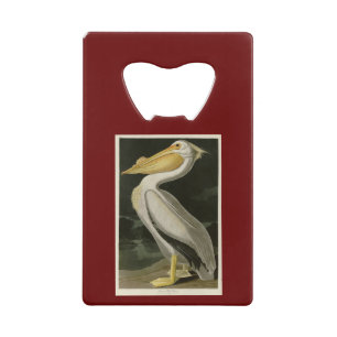 American White Pelican, Audubon's Birds of America