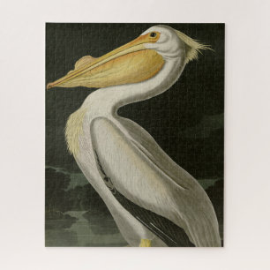 American White Pelican, Audubon's Birds of America Jigsaw Puzzle