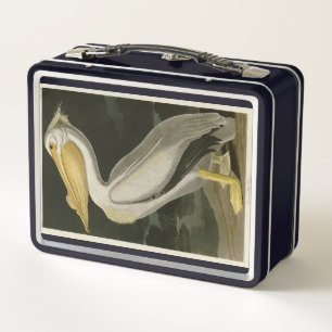 American White Pelican, Audubon's Birds of America Metal Lunch Box
