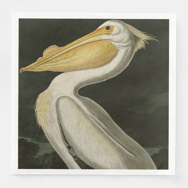 American White Pelican, Audubon's Birds of America Napkin (Front)