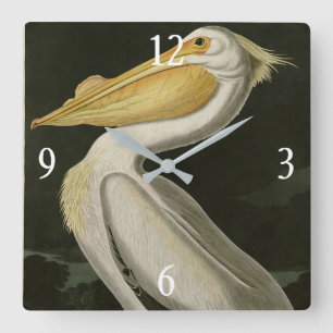 American White Pelican, Audubon's Birds of America Square Wall Clock