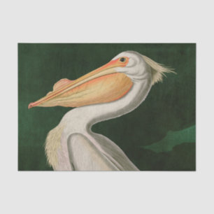 American White Pelican Birds of America Audubon Tissue Paper