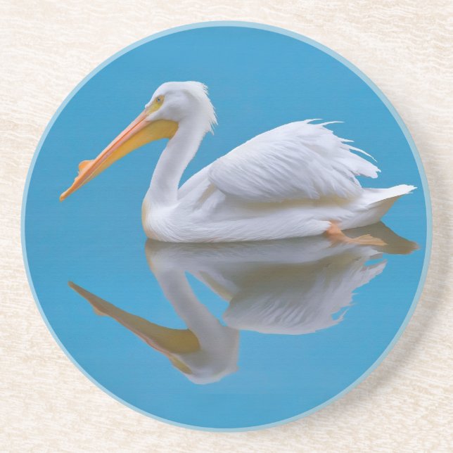 American White Pelican Coaster (Front)