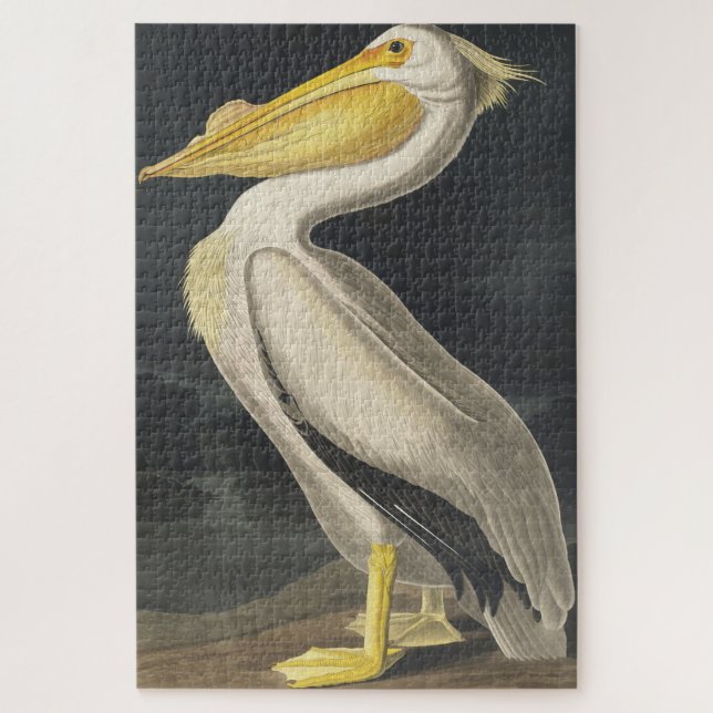 American White Pelican from Birds of America Jigsaw Puzzle (Vertical)