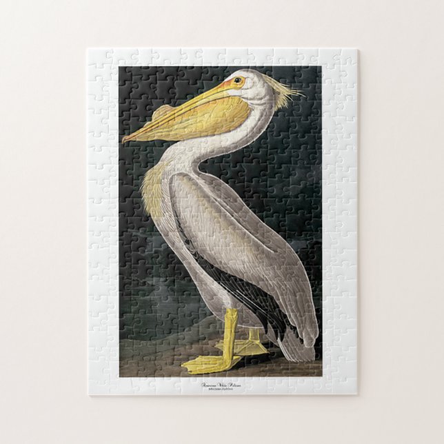 American White Pelican John James Audubon 11 x 14 Jigsaw Puzzle (Vertical)