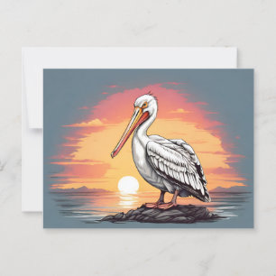 American white pelican sunset postcard