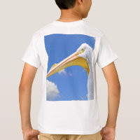 American White Pelican