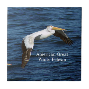 American White Pelican tile