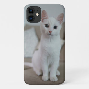 	American white shorthair cat Case-Mate iPhone Case