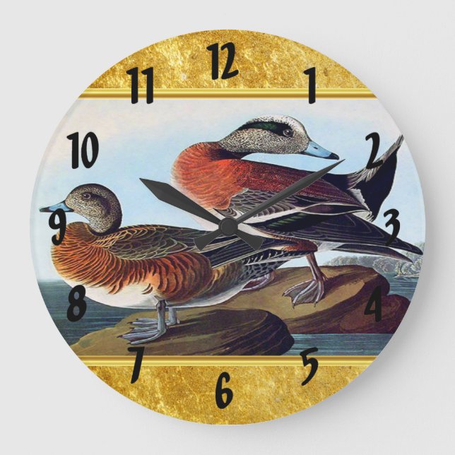 American Widgeon ducks on a rock Large Clock (Front)