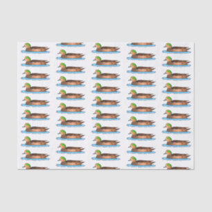 American wigeon bird cartoon illustration   tissue paper