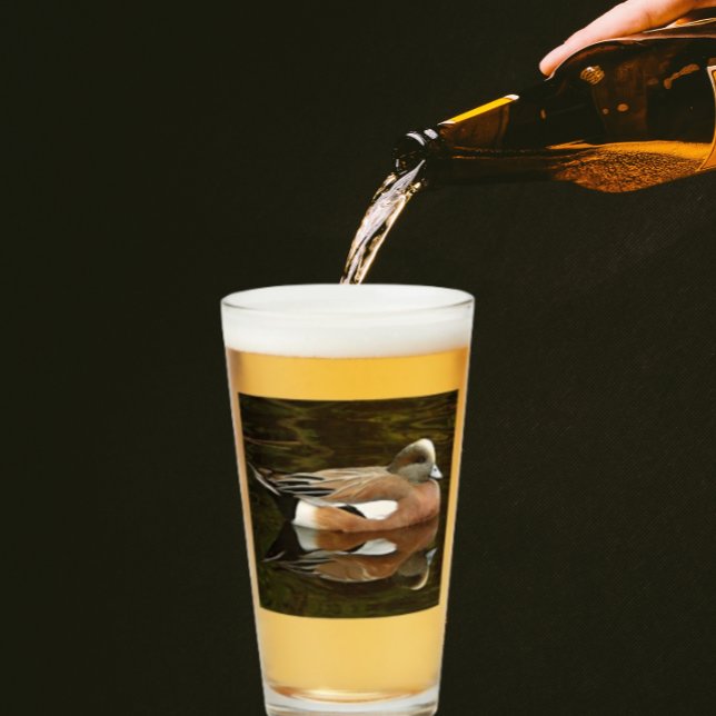 American Wigeon Duck on Pond Glass (In Situ)