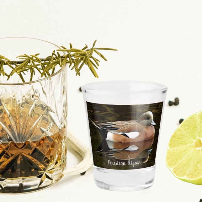 American Wigeon Duck on Pond Shot Glass (In Situ)