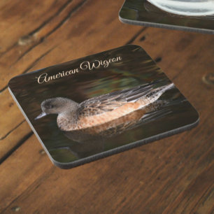 American Wigeon on Pond Photo Coaster