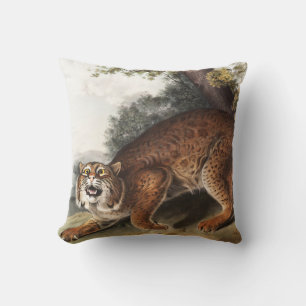 American wild cat (Lynx rufus) Illustration Cushion