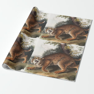 American wild cat (Lynx rufus) Illustration Wrapping Paper