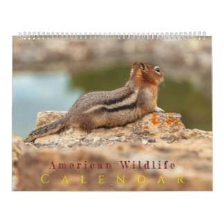 American Wildlife Calendar
