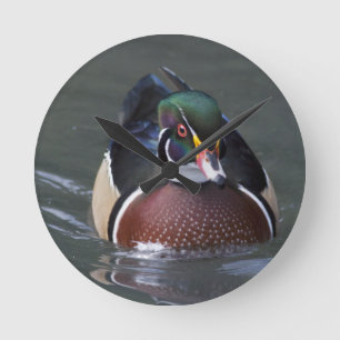 American Wood Duck Clock
