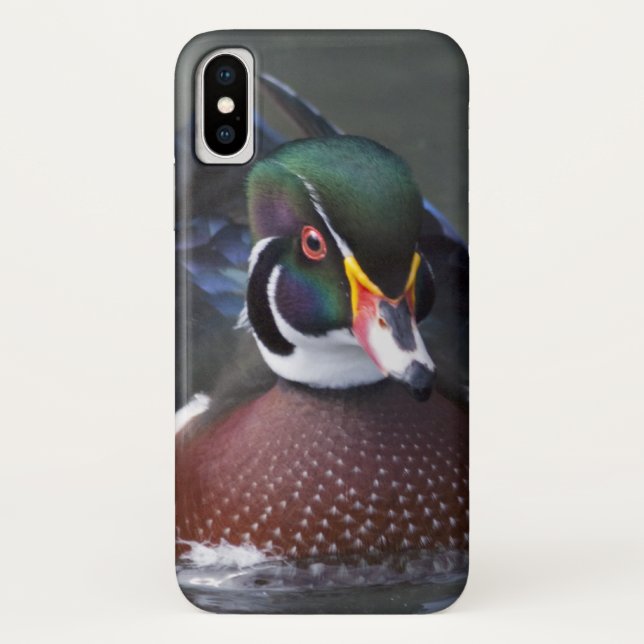 American Wood Duck iPhone X Case (Back)