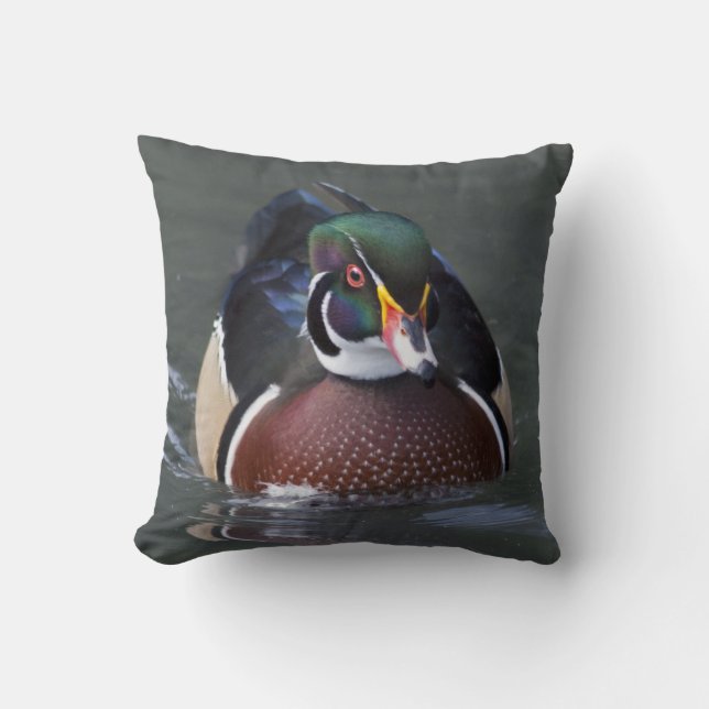 American Wood Duck Pillow (Front)