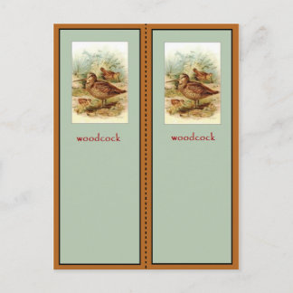 American Woodcock Bookmark Postcard