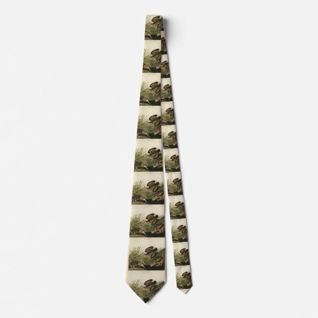 American Woodcock from Audubon's Birds of America Tie (Front)