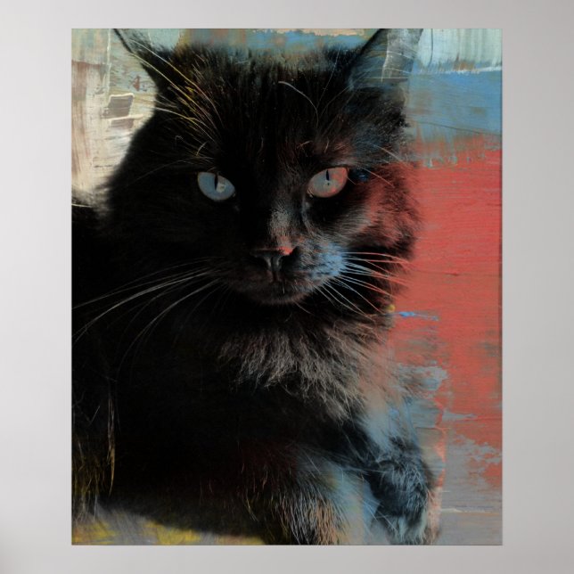 Americana Black Cat, Folk Art Poster (Front)