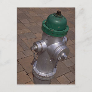 Americana (hydrant), Florida, U.S.A. Postcard