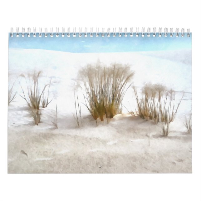 Americana National Parks 21 Mos Calendar (Cover)