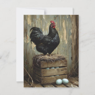 Americana Style Painting of a Black Hen Postcard