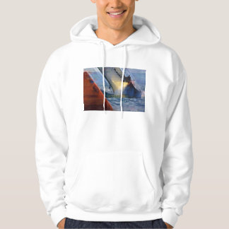 America's Cup, Valencia Spain 2007, Team New Zeala Hoodie