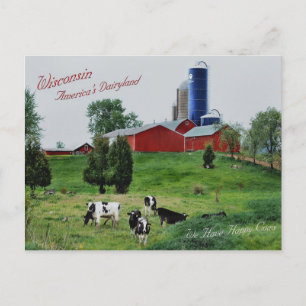 America's Dairyland Postcard