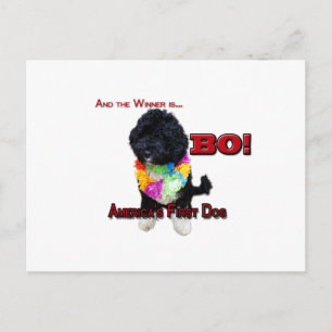 AMERICA'S FIRST DOG: BO POSTCARD