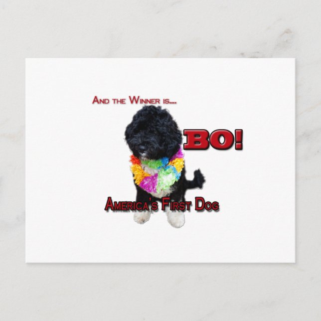 AMERICA'S FIRST DOG:  BO POSTCARD (Front)