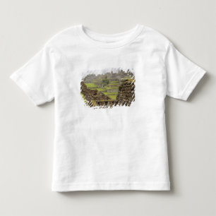 Americas, Peru, Machu PIcchu. The ancient Toddler T-Shirt