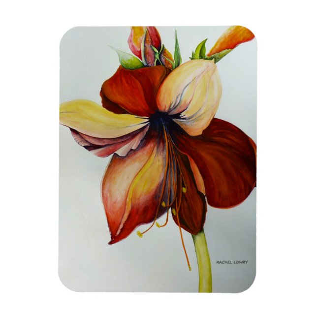 Amerylis 2018 magnet (Vertical)