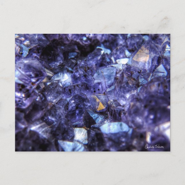 Amethyst Crystals Postcard (Front)