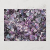 Amethyst Postcard