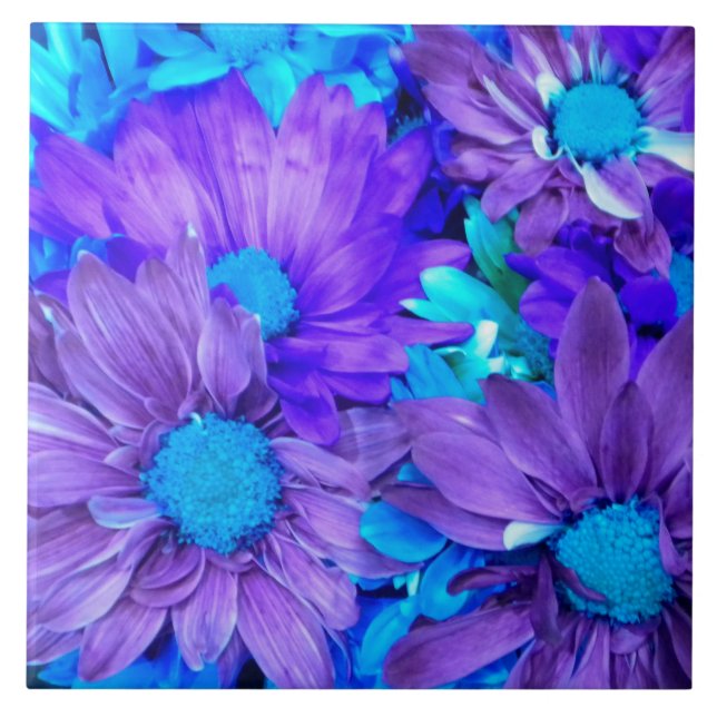 Amethyst Purple and Turquoise Blue Daisies Tile (Front)