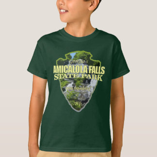 Amicalola Falls (arrowhead) T-Shirt