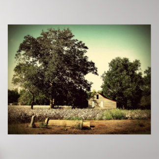 Amidst the Cotton Poster