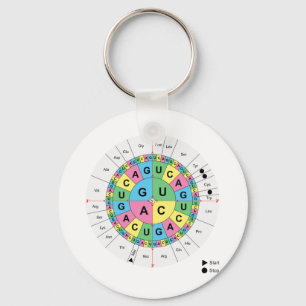 Amino Acid Base Sequence Table Diagram Key Ring