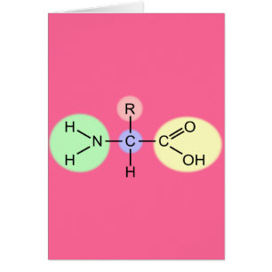 Amino Acid Diagram