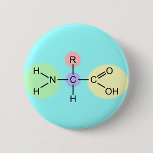 Amino Acid Diagram 6 Cm Round Badge