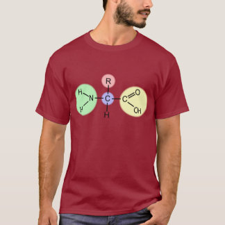 Amino Acid Diagram T-Shirt