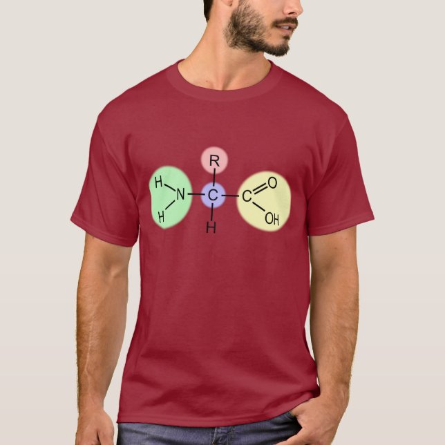 Amino Acid Diagram T-Shirt (Front)