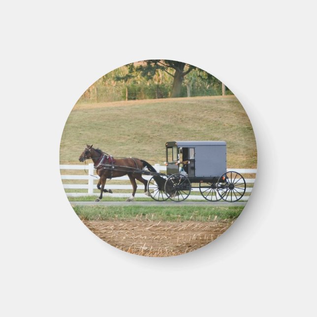 Amish buggy carriage magnet (Front)