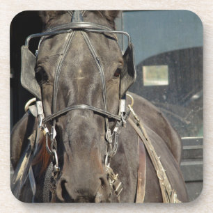 Amish Buggy Horse Coaster
